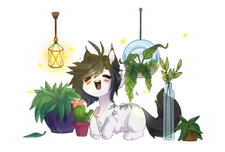 Size: 2542x1715 | Tagged: safe, artist:xvaleox, oc, oc only, oc:mono, earth pony, firefly (insect), insect, pony, cactus, cute, eyes closed, flower, happy, lamp, open mouth, plant pot, potted plant, simple background, solo, transparent background