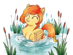 Size: 1181x896 | Tagged: safe, artist:red-watercolor, oc, oc only, oc:firetale, bird, duck, pegasus, pony, cute, female, solo, swimming, water, wings
