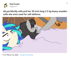 Size: 3508x2835 | Tagged: safe, artist:yaco, dj pon-3, octavia melody, vinyl scratch, earth pony, pony, unicorn, ah yes me my girlfriend and her x, bed, bedroom, blanket, cello, female, lesbian, mare, married couple, meme, meta, musical instrument, pillow, ponified meme, scratchtavia, selfie, shipping, text, twitter, unamused, vinyl scratch is not amused, wife