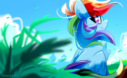 Size: 3600x2200 | Tagged: safe, artist:nekosnicker, rainbow dash, pegasus, pony, chest fluff, cute, dashabetes, eye clipping through hair, female, grass, high res, looking at you, looking back, looking back at you, low angle, mare, scenery, sitting, sky, smiling, solo, windswept mane
