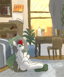 Size: 2500x3000 | Tagged: safe, artist:move, oc, oc only, oc:move, pegasus, pony, bed, bookshelf, carpet, chair, furniture, gray mane, green eyes, grey fur, high res, lofi, male, pillow, plants, record player, room, solo, sunset, table, window