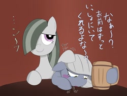 Size: 1600x1200 | Tagged: safe, artist:garammasara, limestone pie, marble pie, earth pony, pony, g4, blushing, crying, drunk, duo, female, head pat, japanese, mare, mug, pat, sad, siblings, sisters, translated in the comments