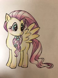 Size: 1536x2048 | Tagged: safe, artist:kanashiona, fluttershy, pony, g4, colored pencil drawing, female, solo, traditional art
