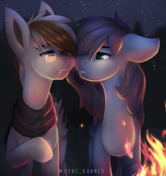 Size: 1651x1745 | Tagged: safe, artist:syncbanned, oc, oc:pensive stroke, oc:times one, bat pony, pegasus, pony, campfire, duo, friendship, night, noseboop, snoot