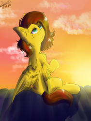 Size: 1068x1424 | Tagged: safe, artist:yuris, oc, oc only, oc:yuris, pegasus, pony, roof, solo, sunset