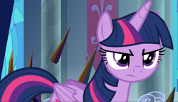 Size: 1622x937 | Tagged: safe, screencap, twilight sparkle, alicorn, pony, g4, season 9, the beginning of the end, cropped, determined, female, folded wings, glare, solo, twilight sparkle (alicorn), wings