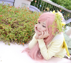 Size: 867x767 | Tagged: safe, artist:rai_ra, fluttershy, human, g4, clothes, cosplay, costume, irl, irl human, japanese, photo, pony ears, wings