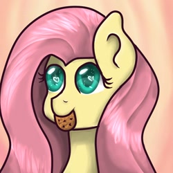 Size: 1024x1024 | Tagged: safe, artist:kiwwsplash, fluttershy, pegasus, pony, g4, abstract background, bust, cookie, cute, female, food, heart eyes, mouth hold, shyabetes, solo, wingding eyes