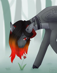Size: 2488x3150 | Tagged: safe, artist:chrystal_company, oc, oc only, pegasus, pony, flower, hair over one eye, high res, looking down, outdoors, pegasus oc, solo, tree, wings