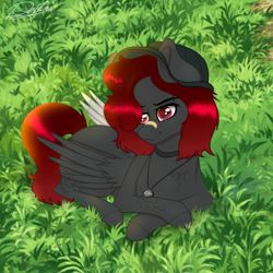 Size: 768x768 | Tagged: safe, artist:delfinaluther, oc, oc only, pegasus, pony, bandaid, bandaid on nose, cute, grass, solo