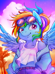 Size: 600x800 | Tagged: safe, artist:hobilo, rainbow dash, anthro, g4, clothes, cloud, female, goggles, hand in pocket, hoodie, midriff, off shoulder, see-through, short shirt, sky, solo