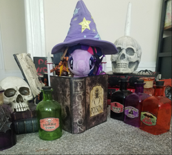 Size: 849x767 | Tagged: safe, twilight sparkle, g4, book, clothes, female, halloween, hat, holiday, irl, photo, photography, plushie, poison, potion, ritual, skull, trixie's hat, wizard hat