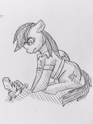 Size: 1536x2048 | Tagged: safe, artist:naki4949, daring do, pegasus, pony, g4, female, pencil drawing, solo, traditional art