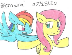 Size: 898x684 | Tagged: safe, artist:cmara, fluttershy, rainbow dash, pegasus, pony, dragon quest, g4, female, fluttershy is not amused, gritted teeth, mare, scene interpretation, simple background, traditional art, unamused, white background