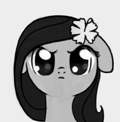 Size: 356x362 | Tagged: safe, artist:nimaru, oc, oc only, oc:luau, earth pony, pony, angry, bust, cute, ears back, female, flower, flower in hair, frown, glare, looking at you, madorable, mare, monochrome, ocbetes, simple background, solo, white background