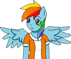 Size: 492x406 | Tagged: safe, artist:wrath-marionphauna, rainbow dash, anthro, g4, clothes, digital art, female, shirt, simple background, solo, t-shirt, transparent background, wings