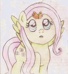 Size: 1201x1301 | Tagged: safe, artist:wrath-marionphauna, fluttershy, butterfly, pony, g4, colored pencil drawing, female, solo, surprised, traditional art