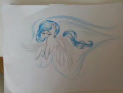 Size: 1280x960 | Tagged: safe, artist:kiwwsplash, oc, oc only, pegasus, pony, bedroom eyes, pegasus oc, solo, traditional art, wings