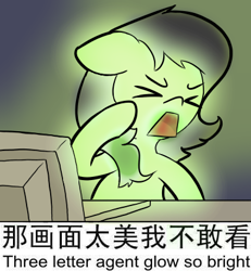 Size: 386x417 | Tagged: safe, artist:happy harvey, oc, oc only, oc:filly anon, earth pony, pony, >.<, ><, chinese, chinese meme, computer, emoting mokou, eyes closed, female, filly, glow in the dark, glowie, glowing, meme, open mouth, ponified meme, solo, touhou