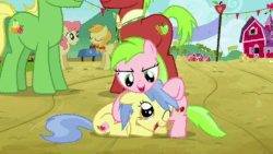 Size: 576x324 | Tagged: safe, screencap, apple cinnamon, apple flora, gala appleby, jonagold, marmalade jalapeno popette, sweet tooth, wensley, pony, apple family reunion, g4, animated, apple family member, cute, diabetes, eyes closed, female, filly, gif, grin, male, mare, noogie, open mouth, sitting, smiling, stallion, underhoof