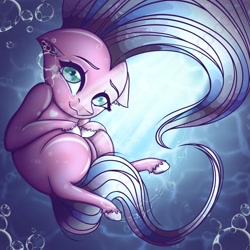 Size: 2048x2048 | Tagged: safe, artist:ericsson, oc, oc only, oc:clear skies, oc:clear sky, earth pony, pony, bubble, high res, shine, solo, underwater, water