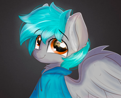 Size: 3588x2893 | Tagged: safe, artist:janelearts, oc, oc only, pegasus, pony, bust, clothes, high res, hoodie, male, portrait, solo, stallion