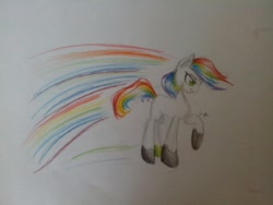 Size: 1280x960 | Tagged: safe, artist:kiwwsplash, oc, oc only, earth pony, pony, earth pony oc, hoof shoes, multicolored hair, rainbow hair, raised hoof, solo, traditional art