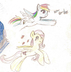 Size: 1050x1054 | Tagged: safe, artist:wrath-marionphauna, fluttershy, rainbow dash, g4, colored pencil drawing, flying, smiling, traditional art