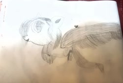 Size: 1080x729 | Tagged: safe, artist:bellas.den, oc, oc only, pegasus, pony, pegasus oc, solo, traditional art, wings