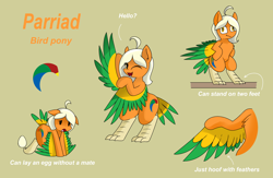 Size: 3676x2396 | Tagged: safe, artist:pencil bolt, oc, oc only, oc:parriad, bird, bird pone, harpy, hybrid, monster pony, original species, bipedal, derp, egg, female, high res, reference sheet, solo, wavy mouth, wings