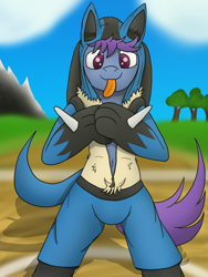 Size: 3024x4032 | Tagged: safe, artist:tacomytaco, oc, oc only, oc:windy dripper, lucario, pegasus, pony, semi-anthro, belly button, bipedal, clothes, costume, cute, dressup, male, pokémon, pokémon hoodie, tongue out