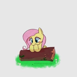 Size: 768x768 | Tagged: safe, artist:tomizawa96, fluttershy, pegasus, pony, g4, ants, cute, female, log, simple background, solo, white background