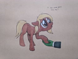 Size: 4032x3024 | Tagged: safe, artist:brisineo, oc, oc only, oc:anon, human, pony, charity, hand, heartwarming, hoof hold, ponified horse, simple background, starving, text, traditional art, verity, wholesome