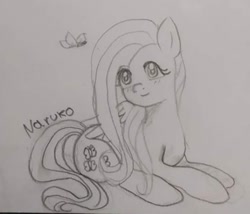Size: 540x463 | Tagged: safe, artist:wrath-marionphauna, fluttershy, butterfly, pegasus, pony, g4, blushing, female, pencil drawing, sketch, smiling, solo, traditional art