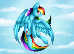 Size: 4500x3300 | Tagged: safe, artist:lyapustk, rainbow dash, pegasus, pony, g4, backwards cutie mark, blushing, female, flying, high res, mare, profile, sky, solo, spread wings, wings