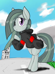 Size: 720x960 | Tagged: safe, artist:a.s.e, marble pie, earth pony, pony, g4, bipedal, clothes, female, impressed, mare, solo