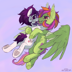 Size: 2000x2000 | Tagged: safe, artist:cherry_kotya, oc, oc only, oc:frame gravity, oc:the doll, earth pony, original species, pegasus, plush pony, pony, boop, colored hooves, fluffy, flying, freckles, high res, hug, look at each other, noseboop, plushie, smiling, stitched body, stitches, teeth, wings