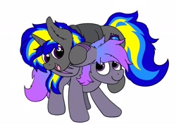 Size: 2048x1497 | Tagged: safe, artist:aaathebap, oc, oc only, oc:grey, oc:rapid shadow, bat pony, pony, unicorn, clothes, couple, cute, ear fluff, floppy ears, flower, flower in hair, freckles, gay, happy, hoodie, looking at each other, male, oc x oc, open mouth, rapid x grey, shipping, socks, striped socks, wings