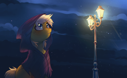 Size: 3228x1996 | Tagged: safe, artist:ls_skylight, oc, oc only, oc:lightning star, earth pony, pony, clothes, hoodie, lamppost, night, solo