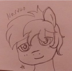 Size: 720x710 | Tagged: safe, sandbar, earth pony, pony, g4, male, pencil drawing, relaxed, sketch, smiling, solo, stars, traditional art