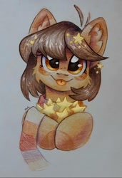 Size: 963x1412 | Tagged: safe, artist:dorkmark, oc, oc only, earth pony, pony, bust, clothes, portrait, scarf, solo, stars, traditional art
