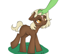 Size: 4000x3000 | Tagged: safe, artist:dumbwoofer, oc, oc:anon, earth pony, human, pony, /ourfilly/, eyes open, female, filly, happy, head pat, pat, ponified, ribs, simple background, thin, transparent background, verity