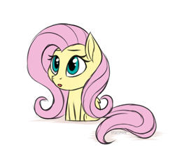 Size: 2673x2351 | Tagged: safe, artist:starshade, fluttershy, pegasus, pony, g4, chibi, cute, female, high res, mare, shyabetes, simple background, solo, white background