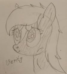 Size: 2441x2726 | Tagged: safe, artist:anonymous, earth pony, pony, cute, female, filly, high res, monochrome, ponified, smiling, solo, traditional art, verity