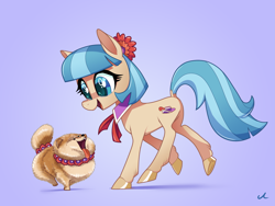 Size: 4183x3150 | Tagged: safe, artist:docwario, coco pommel, dog, earth pony, pony, shiba inu, g4, cocobetes, colored hooves, cute, female, happy, leg fluff, mare, open mouth, pom pom, shibe, simple background, tongue out, violet background, weapons-grade cute