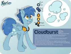Size: 2100x1600 | Tagged: safe, artist:fluffyxai, oc, oc only, oc:cloudburst, pegasus, pony, accessory, goggles, male, reference sheet, smiling, stallion, standing