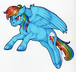 Size: 1264x1204 | Tagged: safe, artist:champ, rainbow dash, pegasus, pony, g4, female, mare, simple background, solo, traditional art, white background