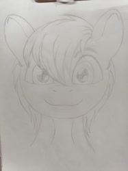 Size: 1024x1366 | Tagged: safe, artist:di-ji-hooves, oc, pony, brony, bust, character, commission, male, portrait, scketch