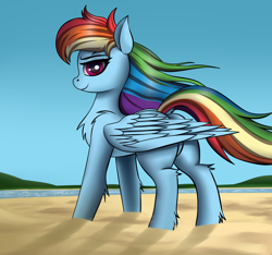 Size: 3200x3000 | Tagged: safe, artist:palibrik, rainbow dash, pegasus, pony, g4, beach, chest fluff, female, high res, leg fluff, looking at you, mare, profile, sand, solo, windswept mane