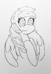 Size: 490x710 | Tagged: safe, artist:tquillspinsandthings, rainbow dash, pony, g4, female, pencil drawing, solo, traditional art